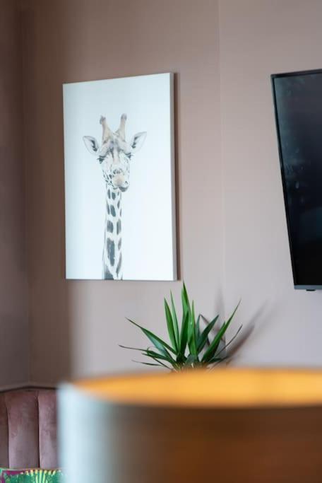 Stylish Beachfront Apartment, Sweeping Ocean Views And Luxury Touches Herne Bay Εξωτερικό φωτογραφία